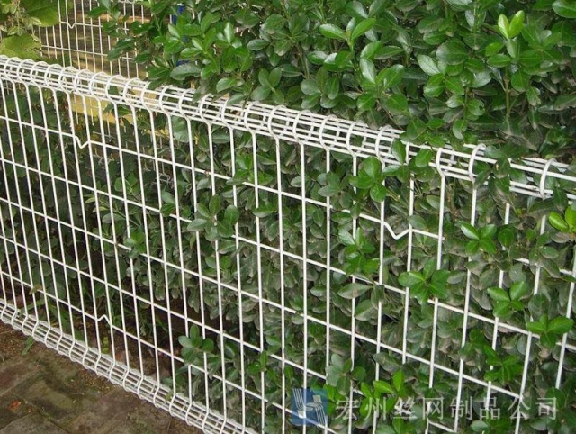 園林護(hù)欄網(wǎng)--05